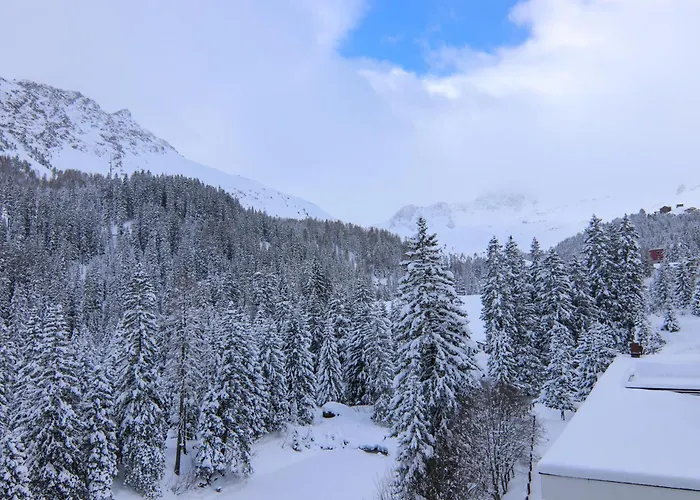 Rothornblick 50 By *